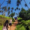 Wandelen naar Coconut Hill